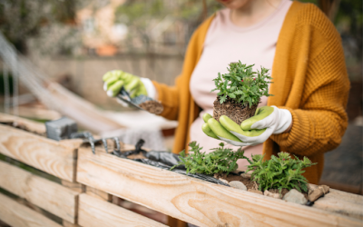 Hobby your way to Better Health